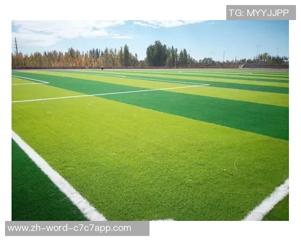 足球场真草坪的魅力与挑战探讨如何提升球员表现与观赛体验 足球场真草坪的魅力与挑战探讨如何提升球员表现与观赛体验